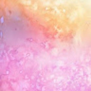 Meet your Posher, Audrie